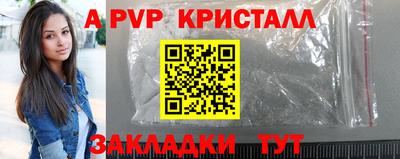 СК Новозыбков