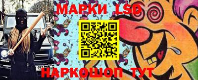 СК Новозыбков