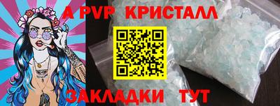 СК Новозыбков