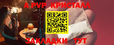 СК Новозыбков