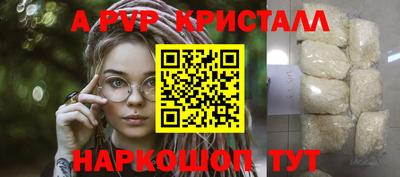 СК Новозыбков