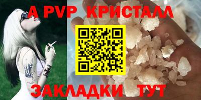 СК Новозыбков