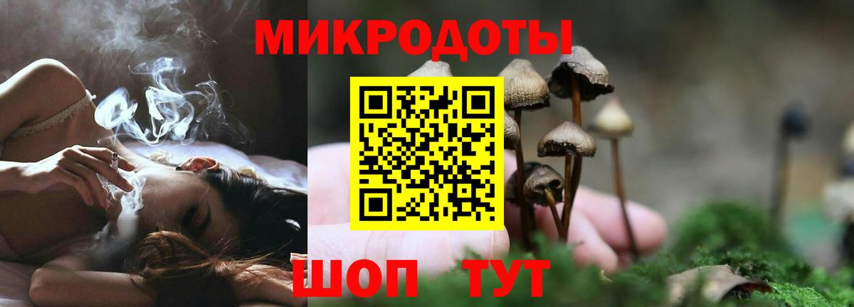Шатура  Псилоцибиновые грибы Psilocybe  даркнет сайт  Галлюциногенные грибы ЛСД  Вход с VPN 